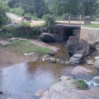 Cats Den Estate Stay, Coorg 5